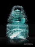insulator